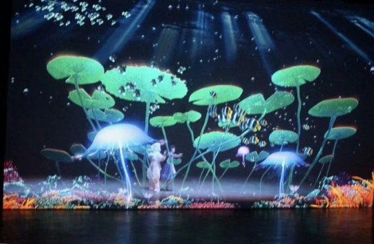 春雨直播app