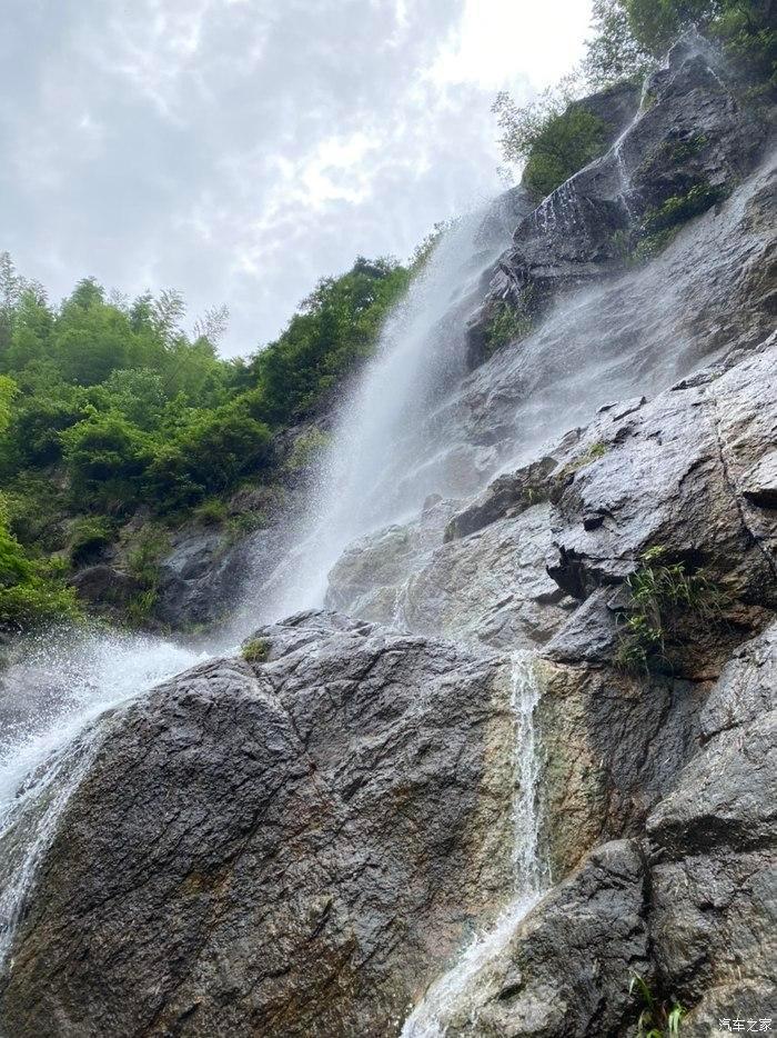 拯救可爱小鳄鱼