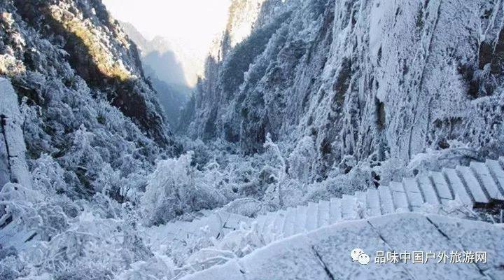 中国女篮奥运资格赛票价出炉：最低380元最高1280元，球迷：太贵了